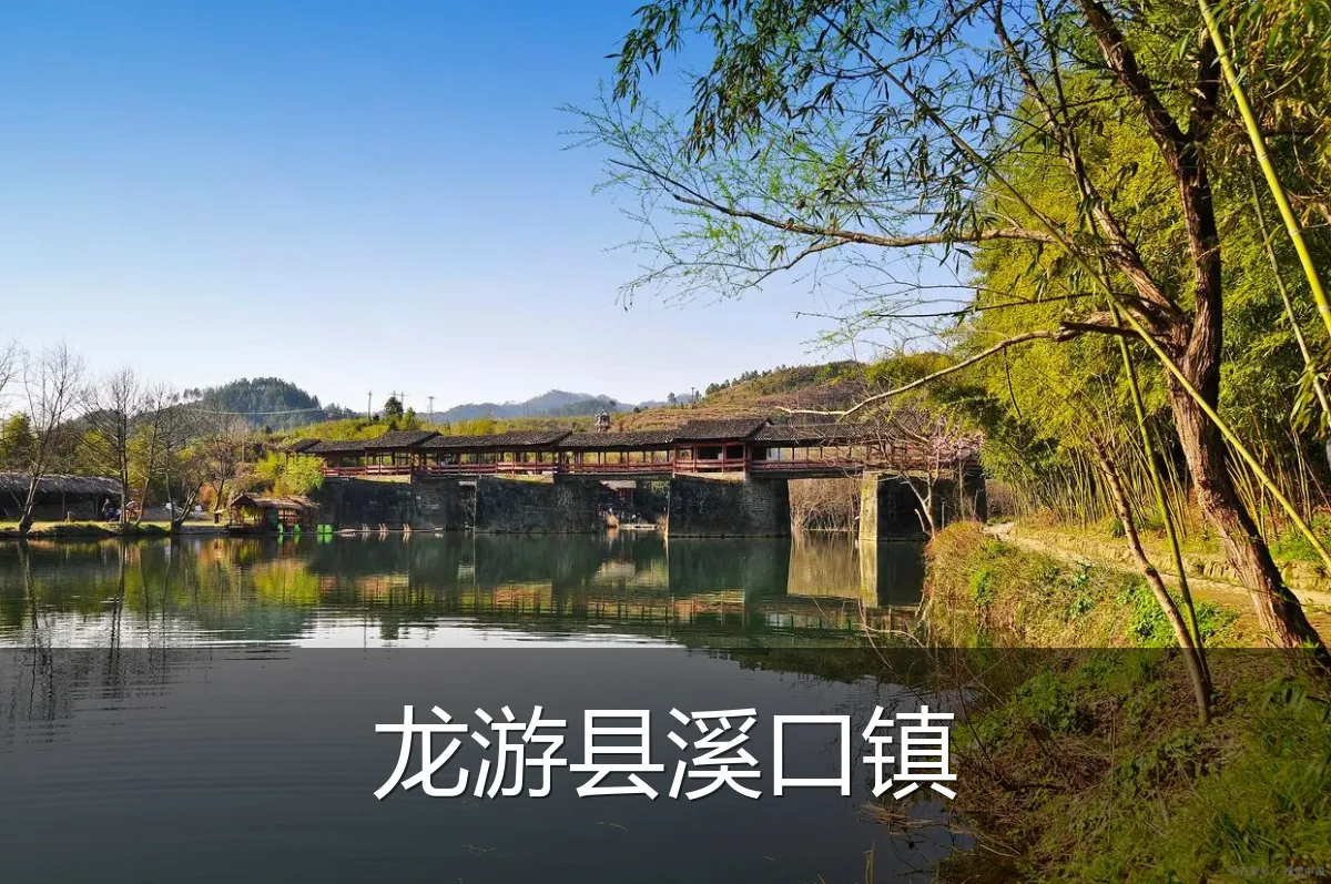 龙游县溪口镇