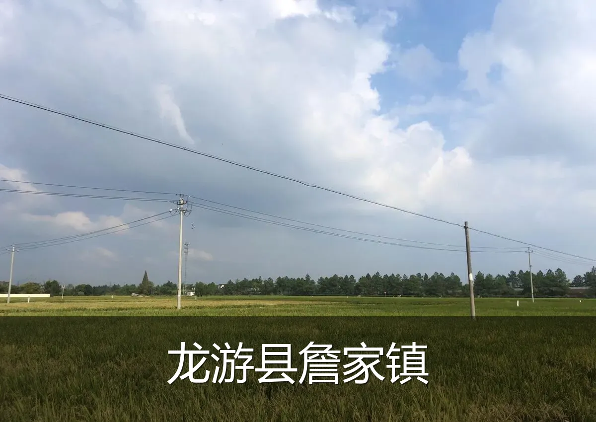 龙游县詹家镇