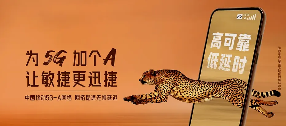 龙游县龙游县社阳乡 移动宽带