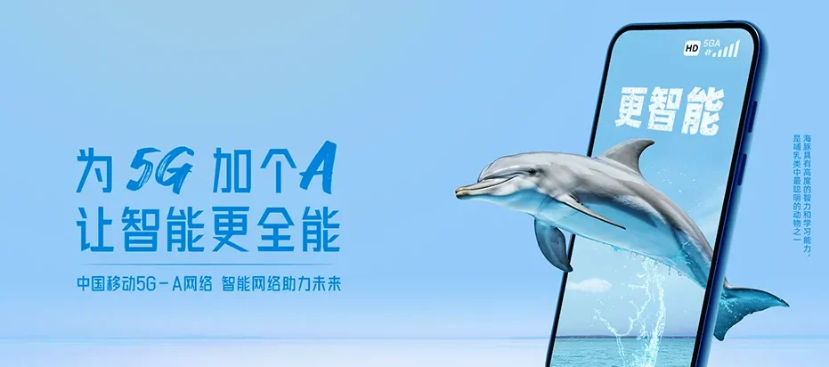 龙游县龙游县石佛乡 移动宽带
